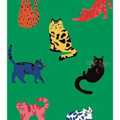 Póster “gatos de colores”│Póster de animales