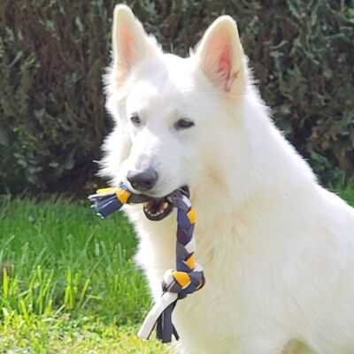 Jouet Écologique pour Chien : Résistant, Zéro Déchet et 100% Unique !