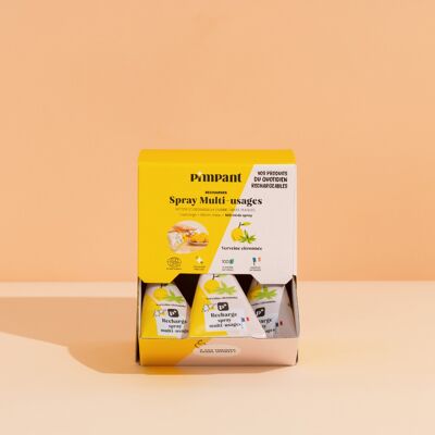 Prêt-à-Vendre Multi-Usages (12 Berlingots)