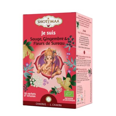 Tisana biologica Je Suis Chakra Range - Energetica naturale per l'equilibrio e il benessere - Momento di relax e stabilità - Tè mattutino biologico