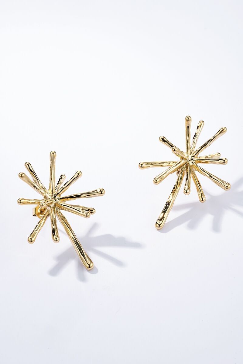 Orecchini in acciaio inossidabile 124AQ294