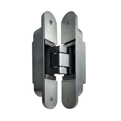 Cerniere nascoste in acciaio inossidabile per impieghi gravosi da 180° per porte di grandi dimensioni (2 pezzi)