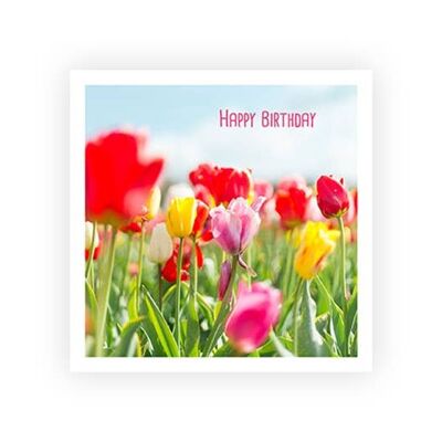 Tulipanes | Postal | Cumpleaños