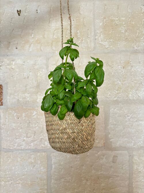 Cache pot suspendu Broome