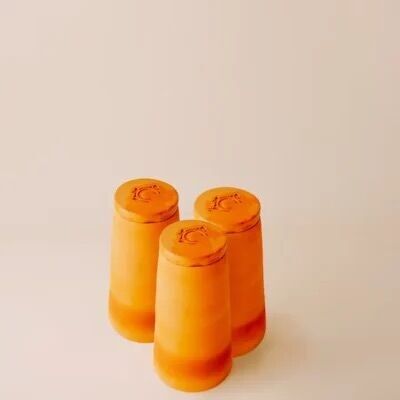 Ollas da piantagione da 25 cm