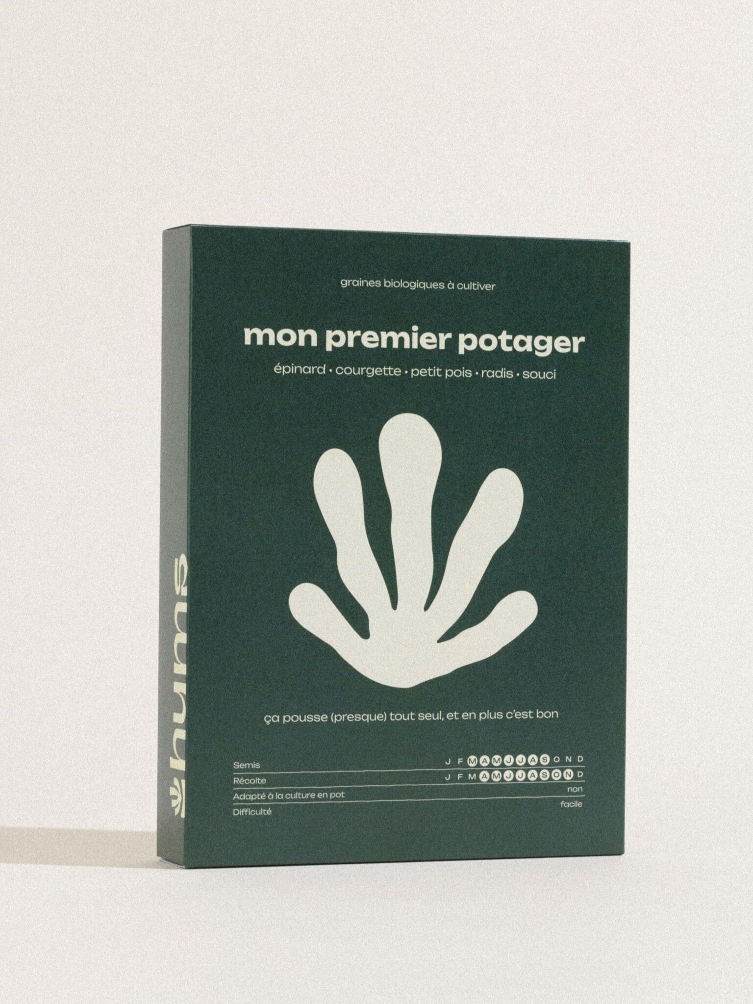 Mein erster Gemüsegarten