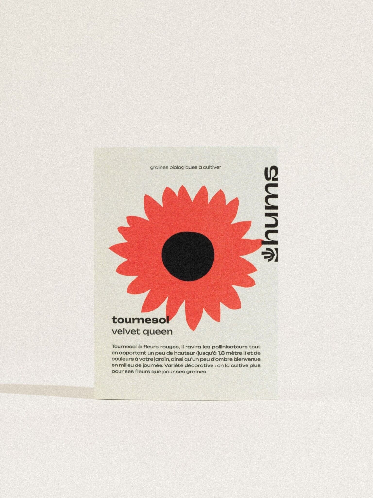 Sonnenblumen-Samtkönigin