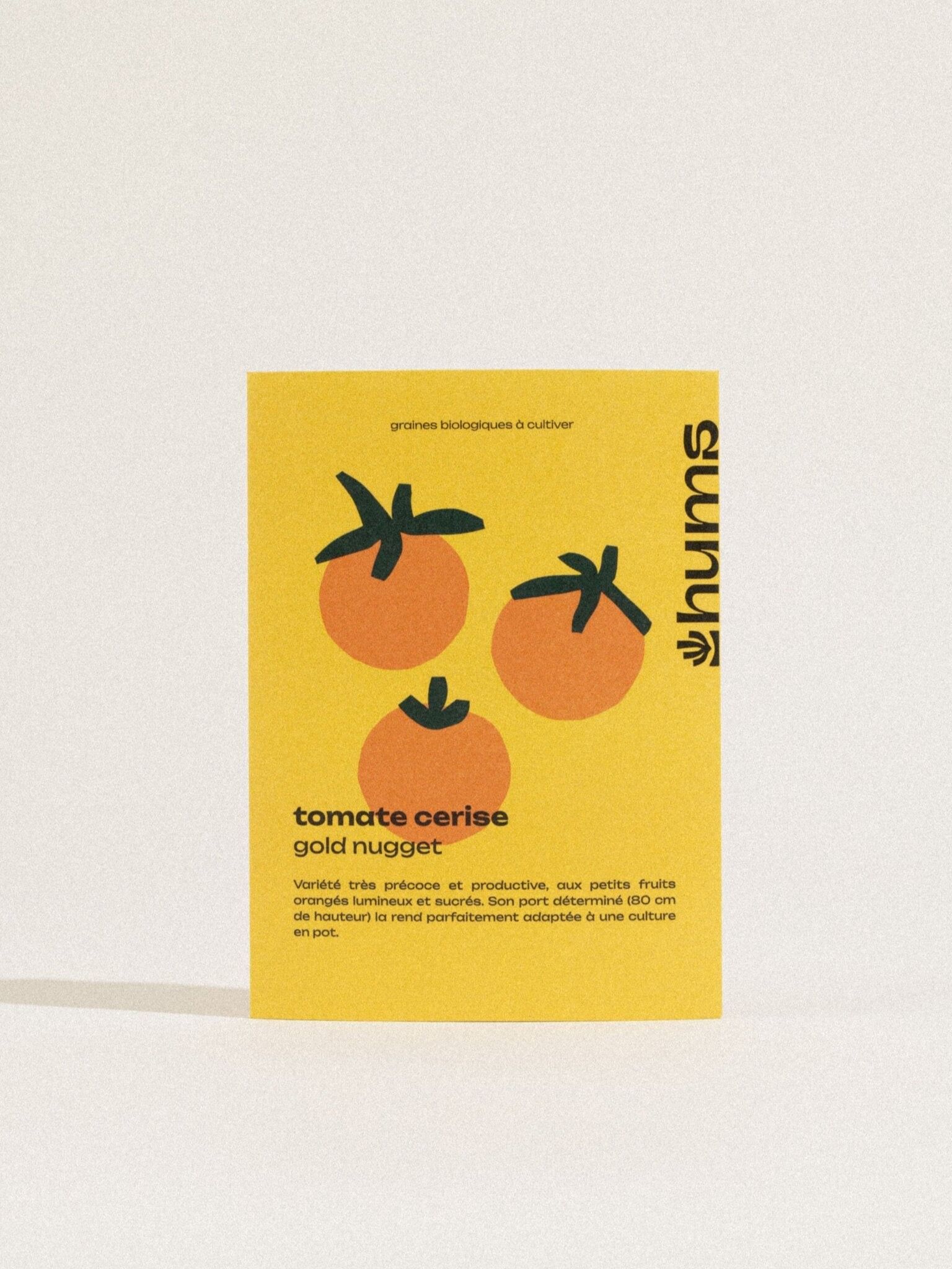 Kirschtomaten-Goldnugget