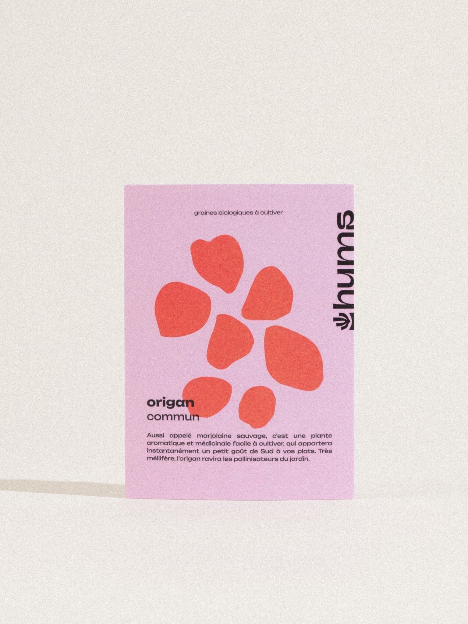 gewöhnlicher Oregano