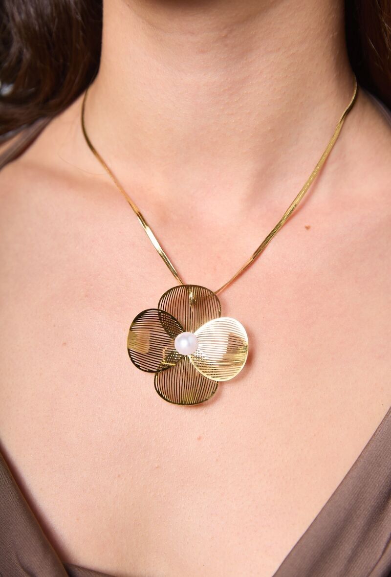 Collare in acciaio inossidabile 224YC25