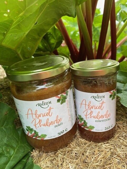 Rhabarber-Aprikosen-Kompott