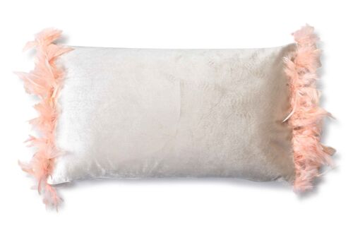 LORETA BEIGE Pillow 50x30cm feathers-HTYG2772