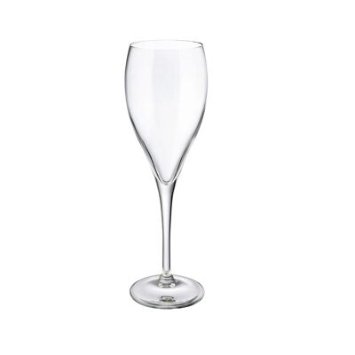 Champagne Glass 170ml Set of 6
