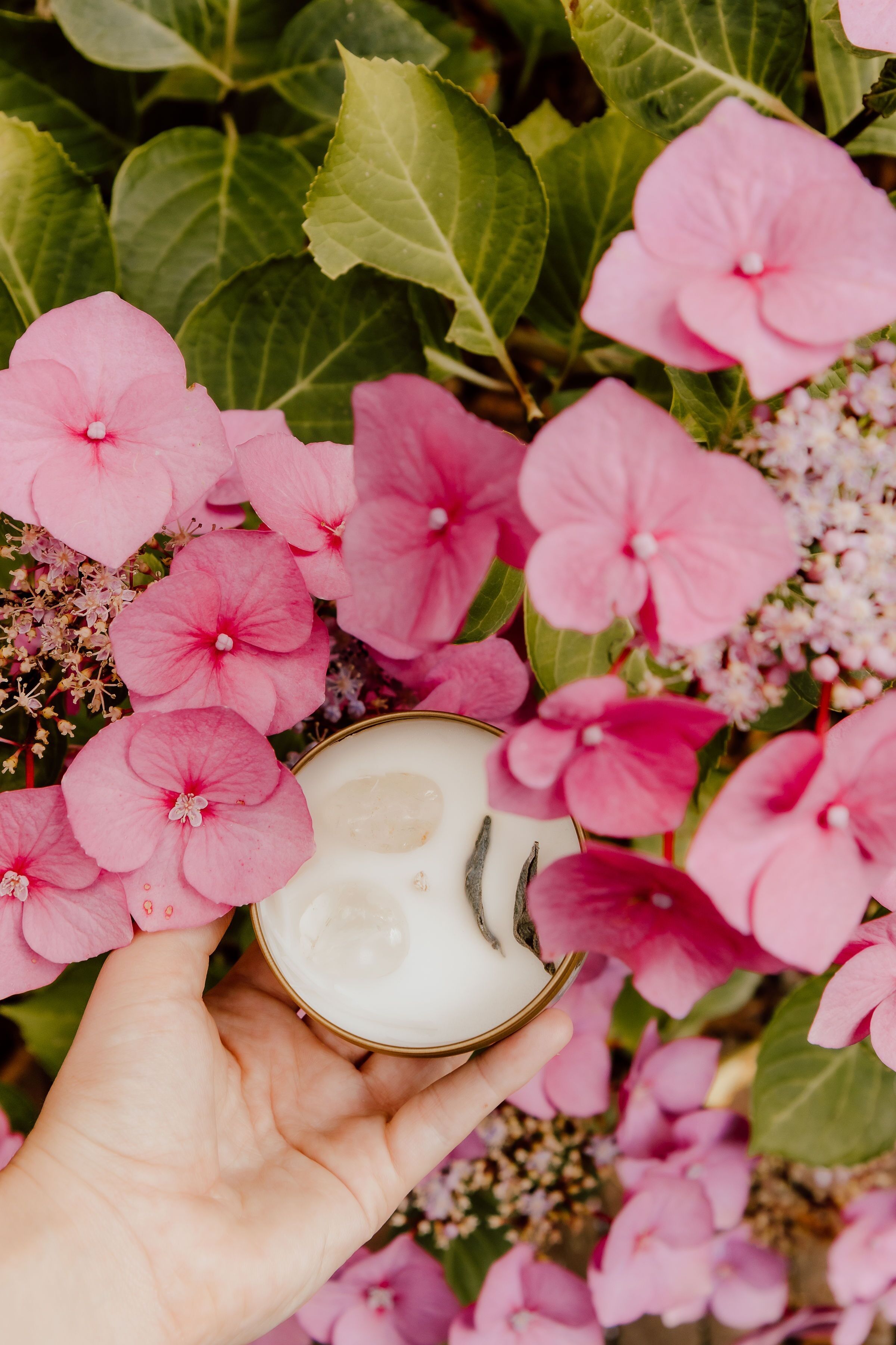 Continua ad andare avanti, continua a crescere