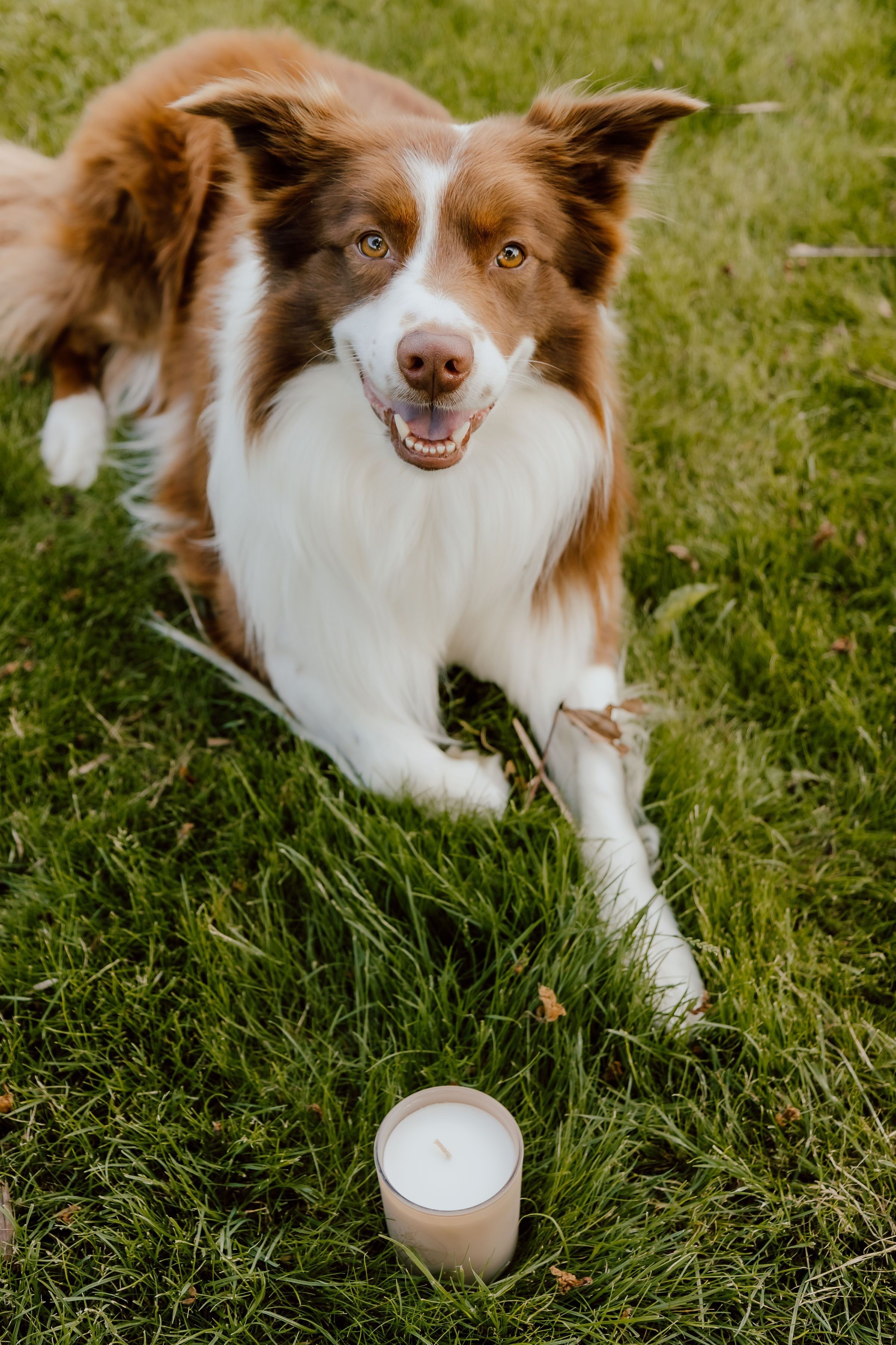 Elemento Terra Tradizionale - 80 ore di combustione - ExcluJess