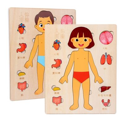 Juego didáctico de rompecabezas de madera sobre el cuerpo humano