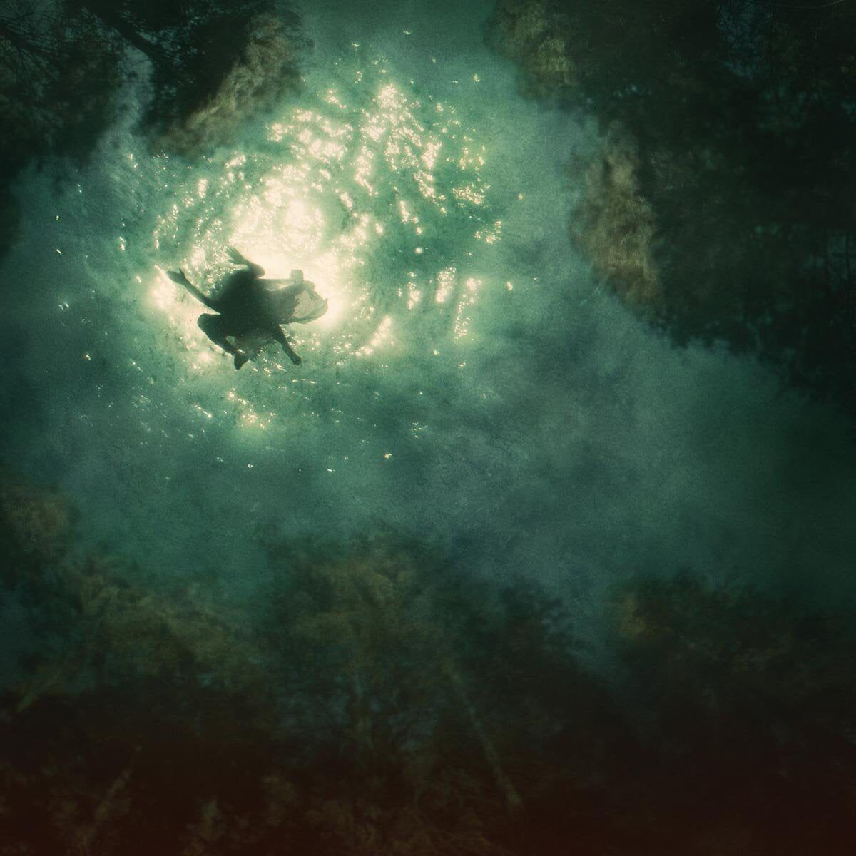 Braids LP - Compagno