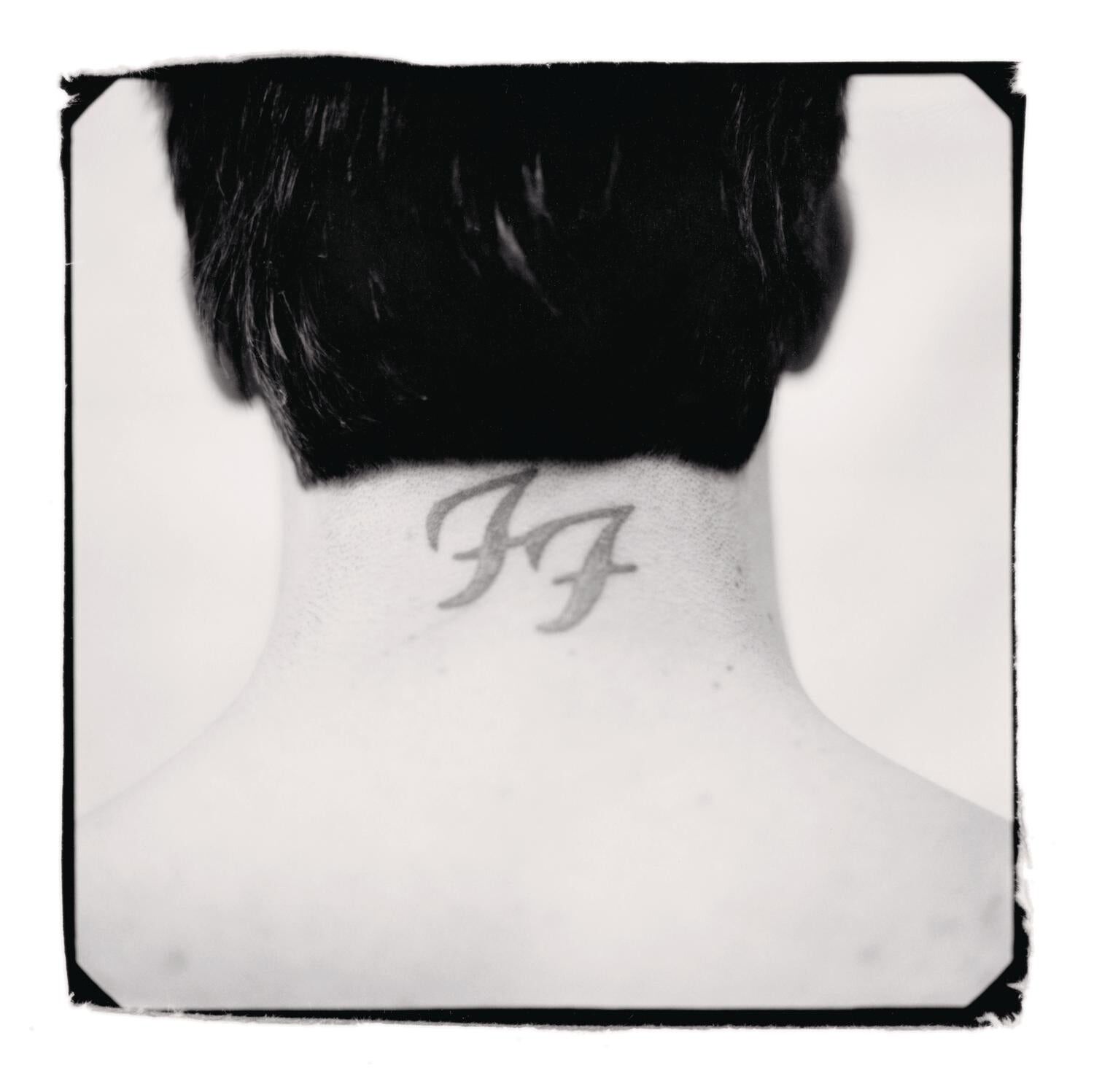 Foo Fighters LP - Es gibt nichts mehr zu verlieren