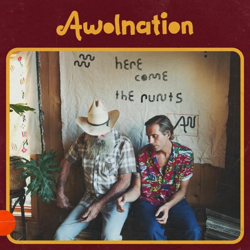 Awolnation LP - Arrivano i Runts