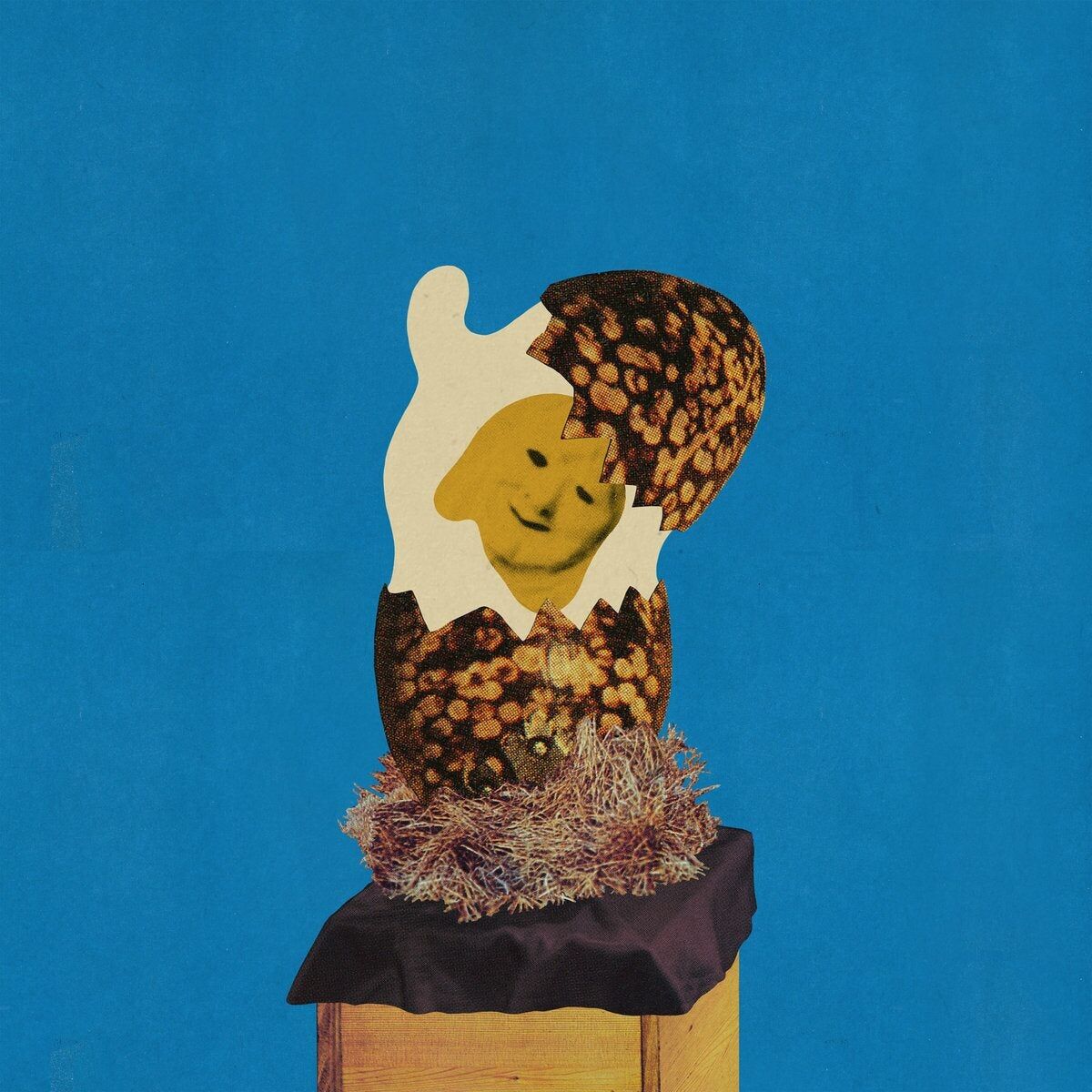 Corridoio LP - Junior