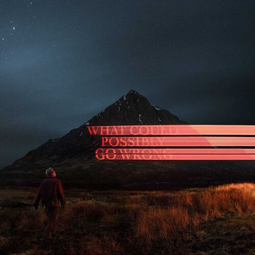 Dominic Fike LP - What Could Possibly Go Wrong?