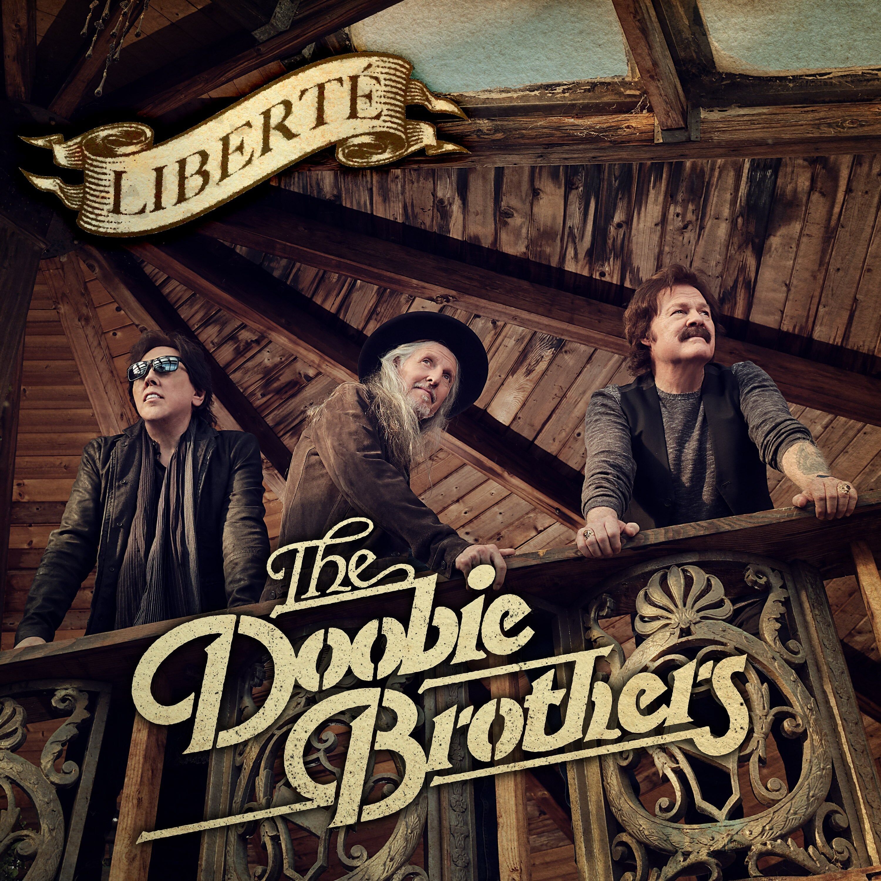 Doobie Brothers LP - Liberta