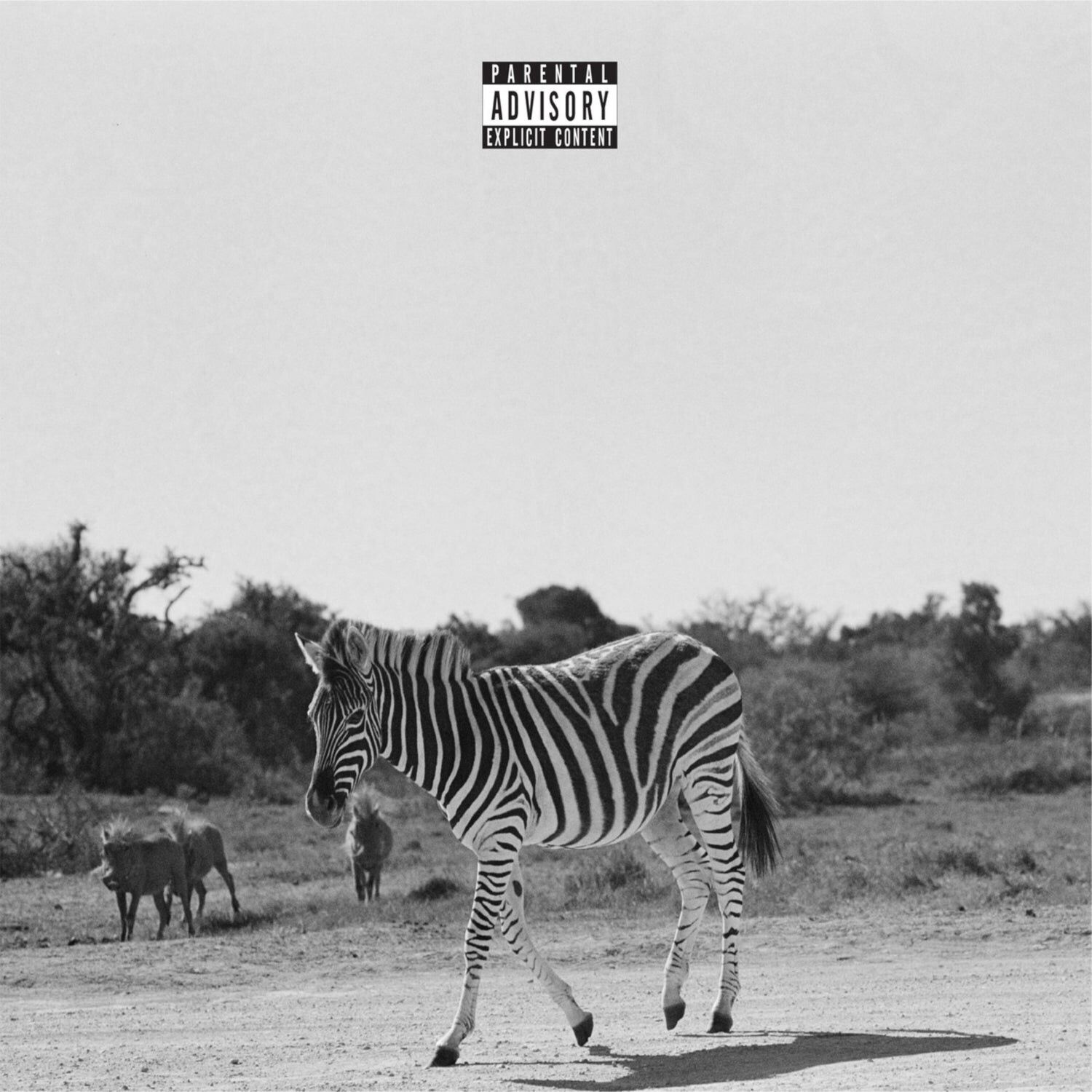 Louis Vi LP - Terrestre