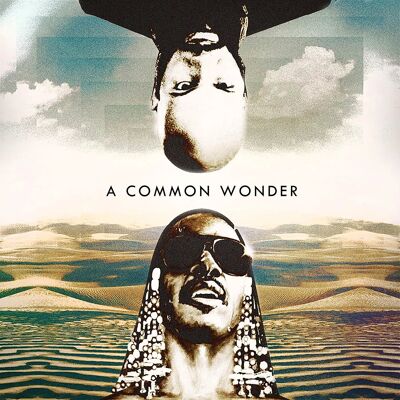 Dai LP - Contro Stevie
