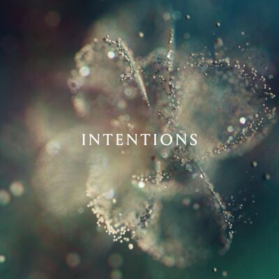 Anna LP - Intentions