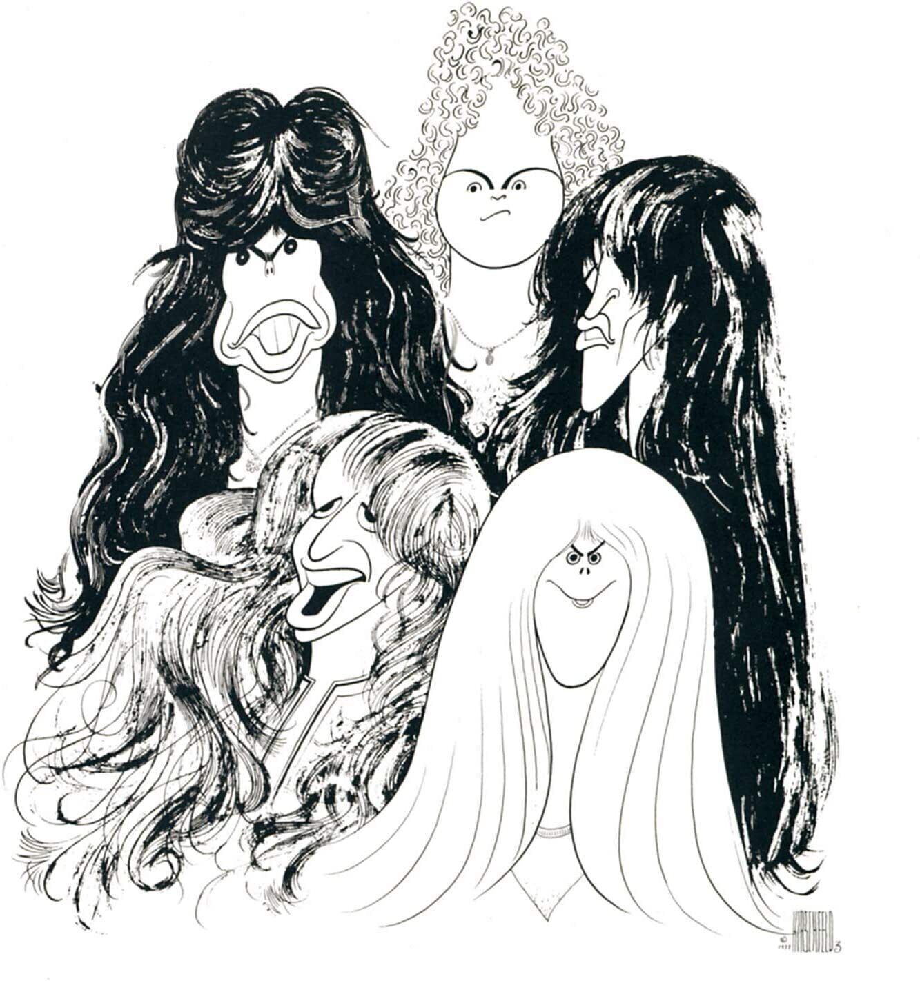 Aerosmith LP - Draw The Line