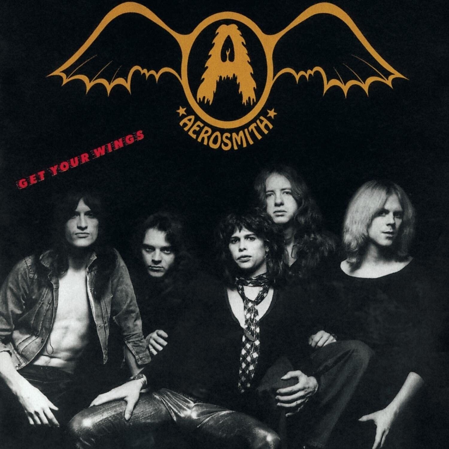 Aerosmith LP - Prendi le tue ali