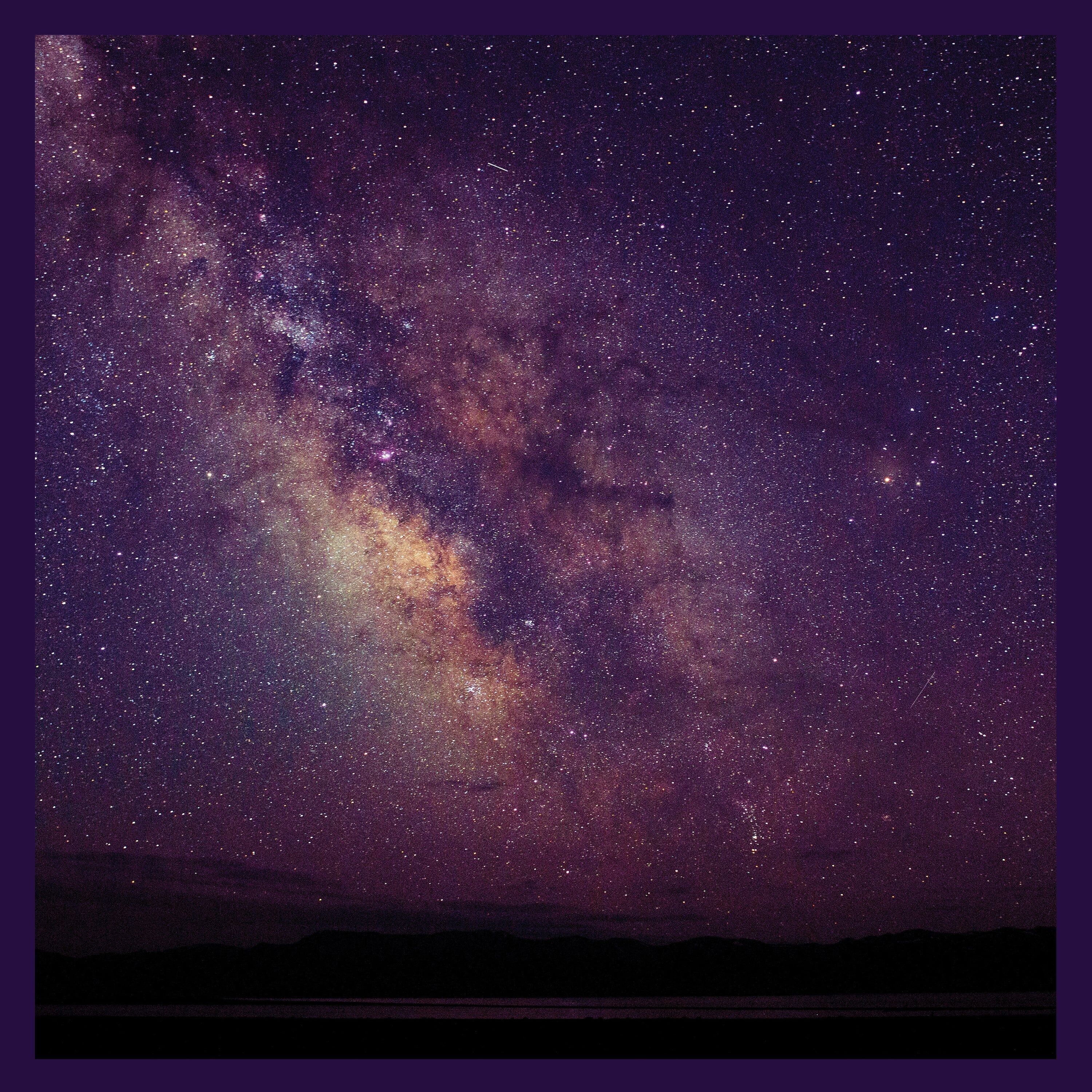 Liz Metta LP - Introspection