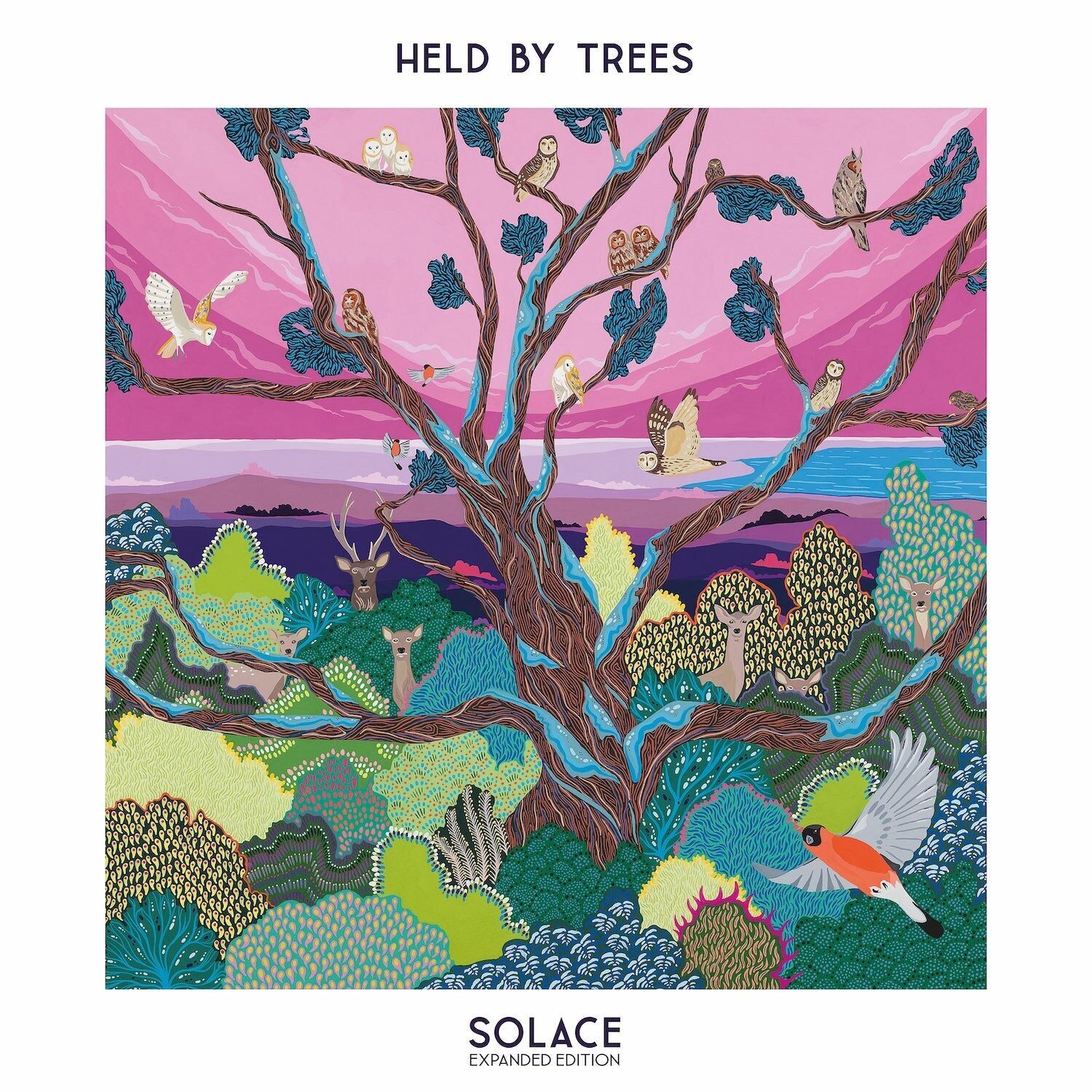 Held By Trees LP - Solace (Expanded Version) (Rsd 2024)