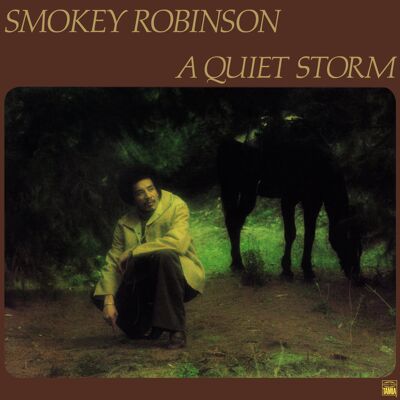 Smokey Robinson LP - Une tempête silencieuse