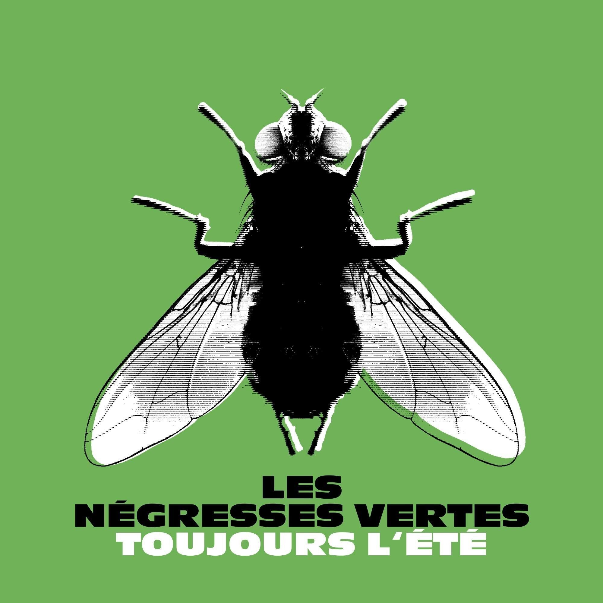 Les Negresses Vertes LP – Toujours Lete (Best Of)