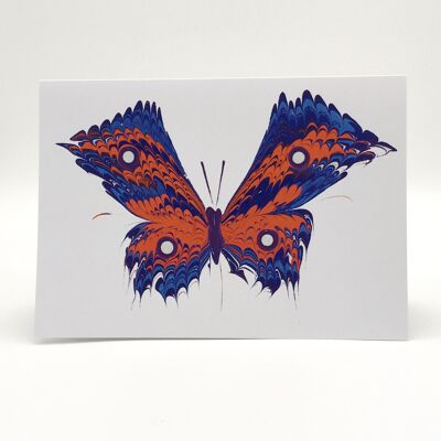 Combed Butterfly Card
