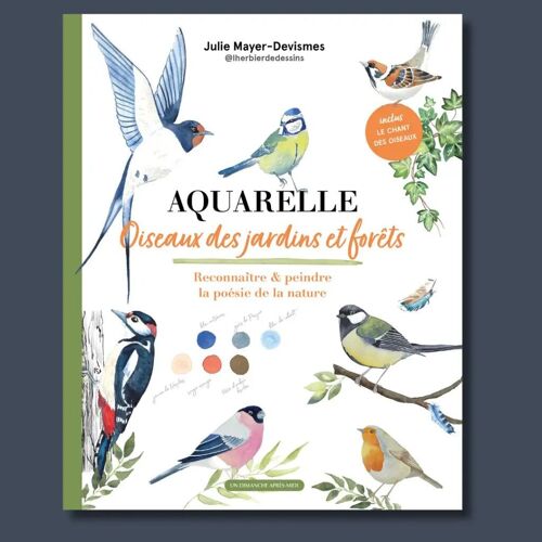 Aquarelle, oiseaux des jardins et forêts