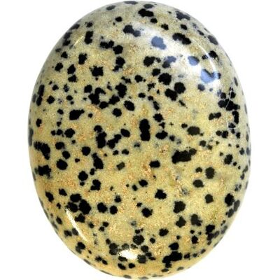 Dalmatian Jasper Palm Stones