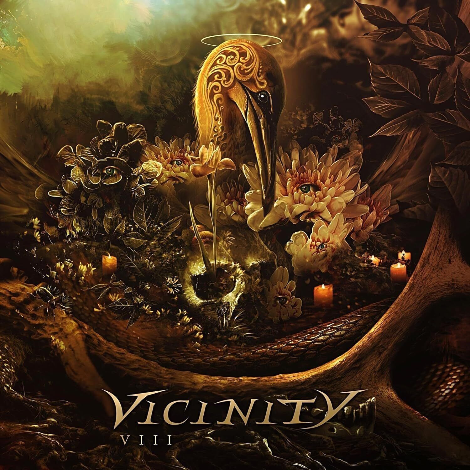 Vicinity LP - Viii (2Lp)