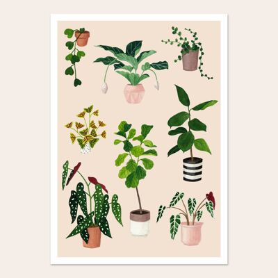 Poster di piante da interno