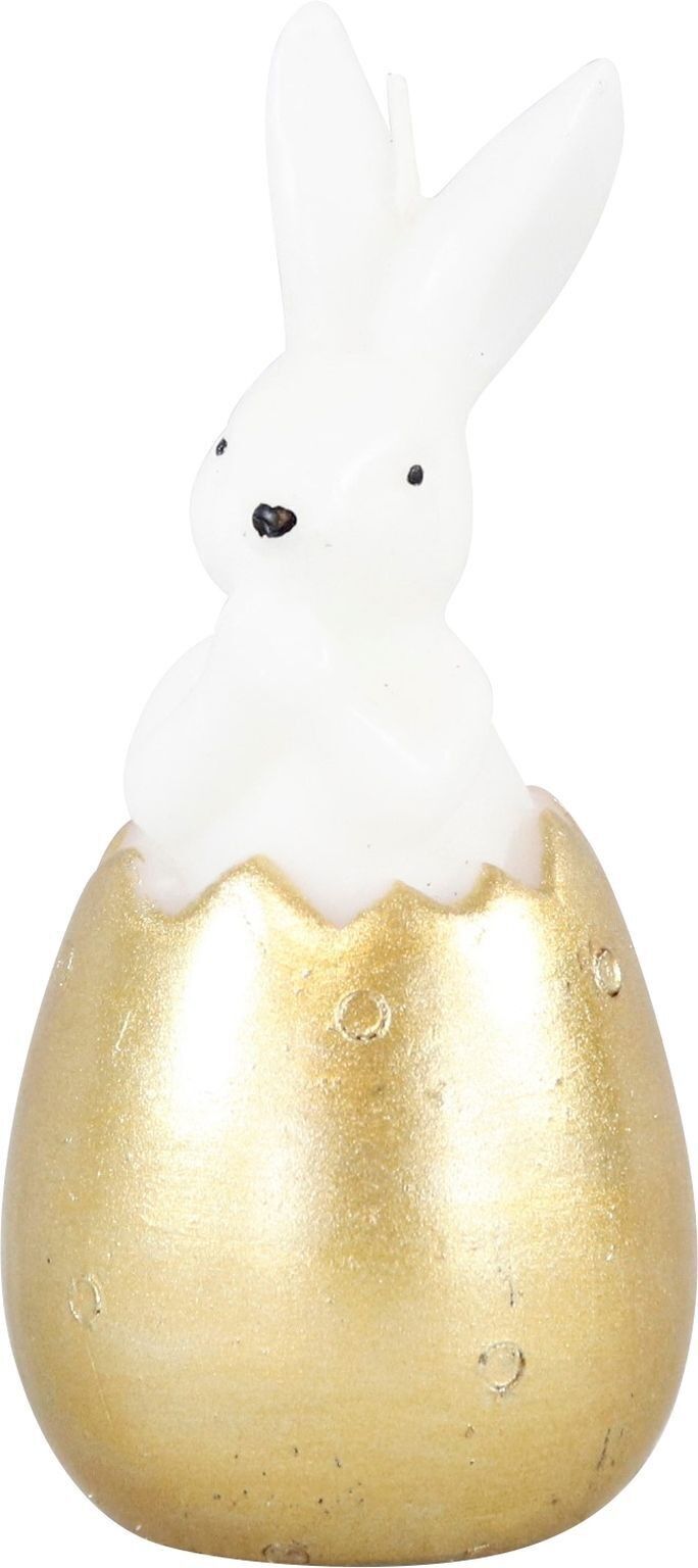 VELA CONEJITO (HOFF3055)