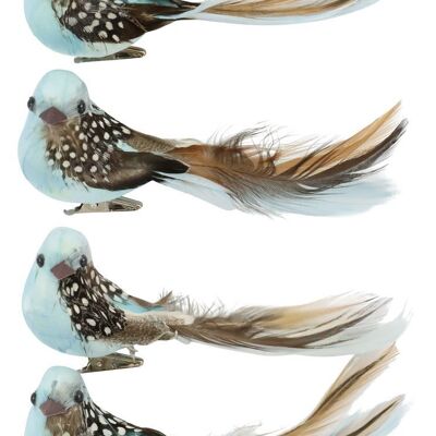 STAFFE PER UCCELLI SET 6 PEZZI BIRDY (HOFF3214)