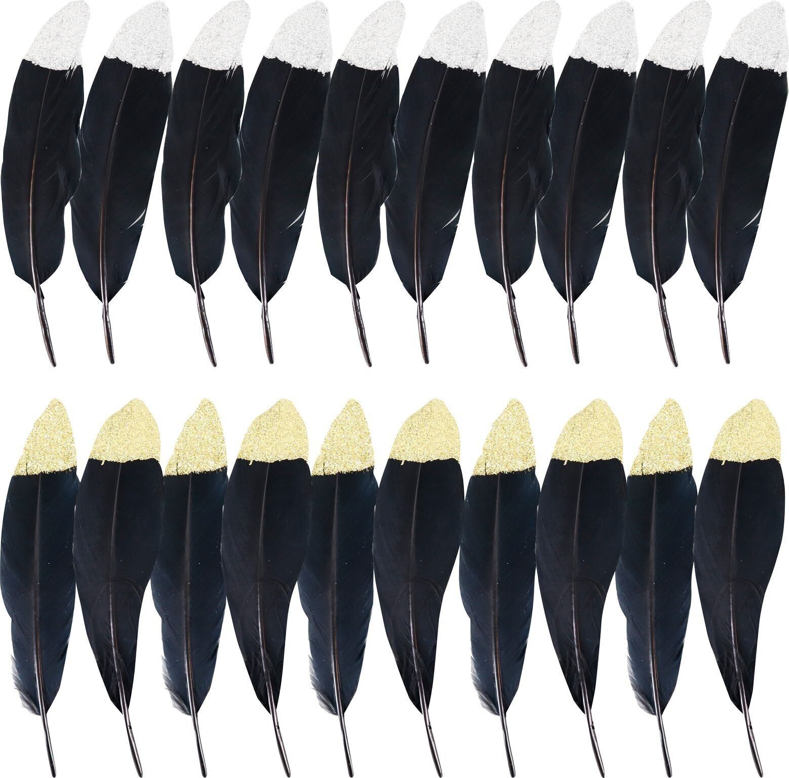 ZIERFEDERN NOIR  20 TEILIGES SET (HOFF3313)