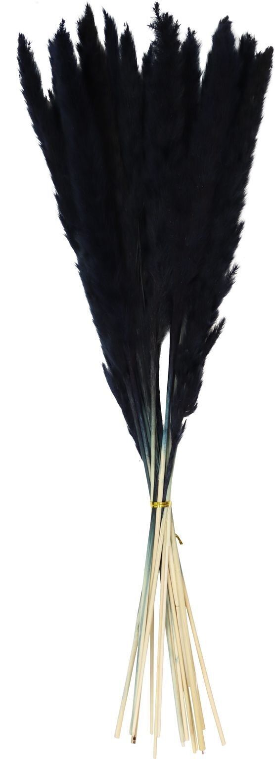 SET 15 PEZZI ERBA PAMPAS NERO (HOFF1026)