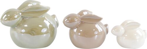 HASEN GLOSSY  3 TEILIGES SET (HOFF4033)