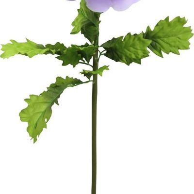 ANÉMONE FLEUR GÉANTE (HOFF4777)