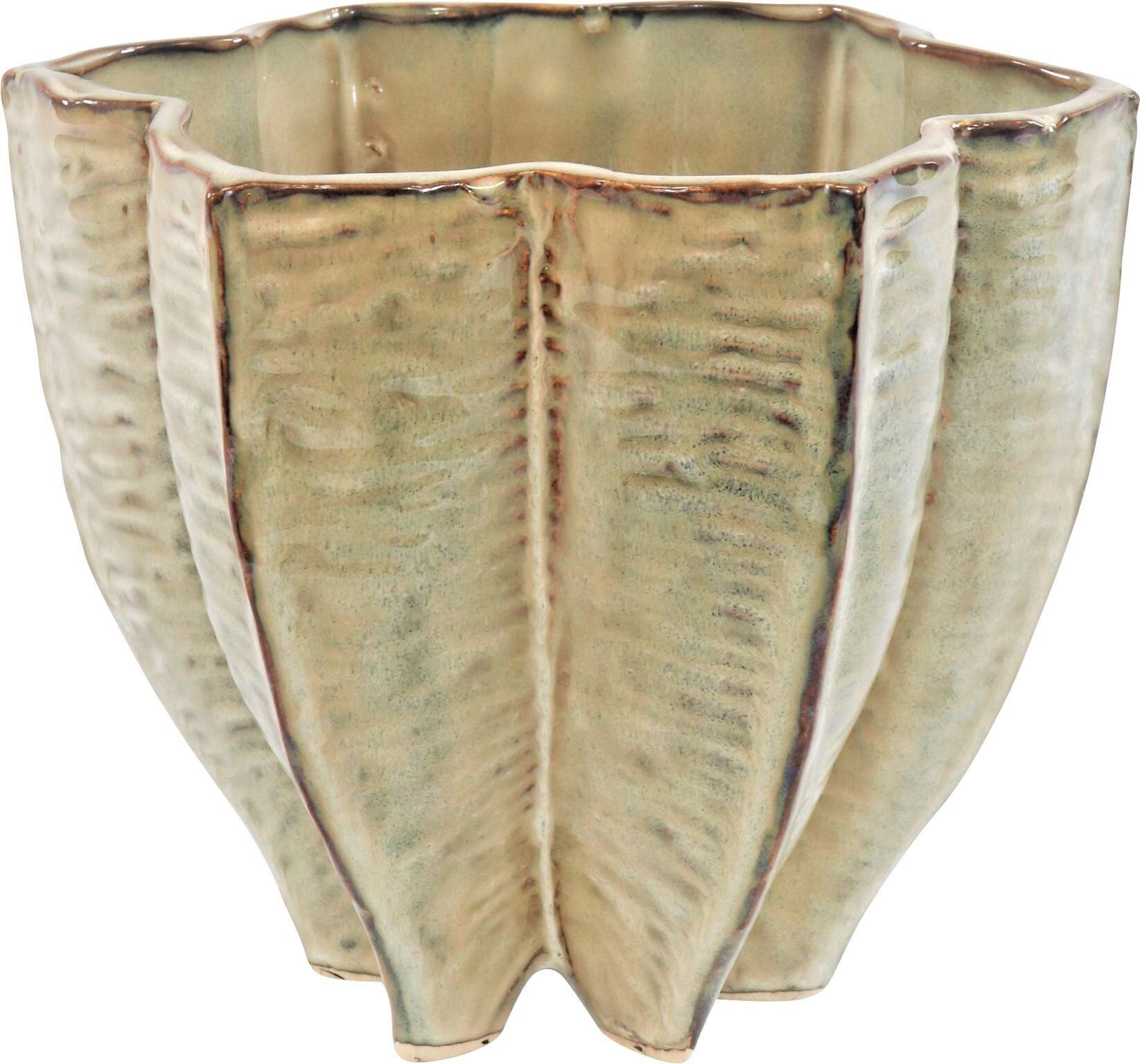 PLANTER CARAMBOLA (HOFF4193)