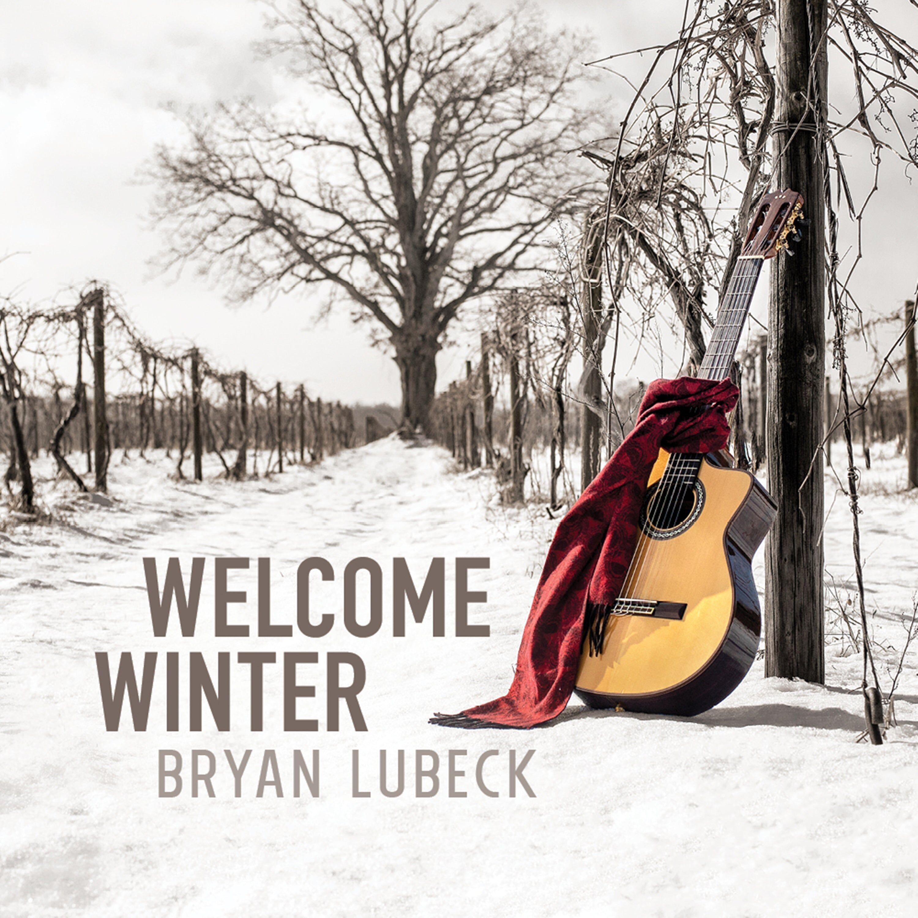 Bryan Lubeck LP - Willkommen Winter