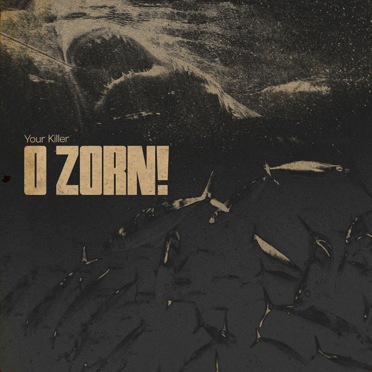 O Zorn!LP - Dein Mörder