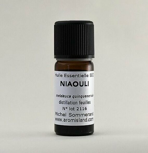 Reines ätherisches Bio-Niaouliöl aus Madagaskar – handgefertigt von Michel Sommerard 10 ml